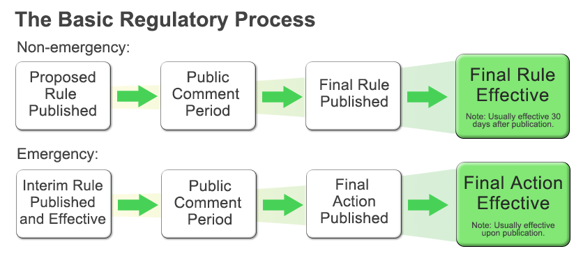 The Basic Regulatory Process